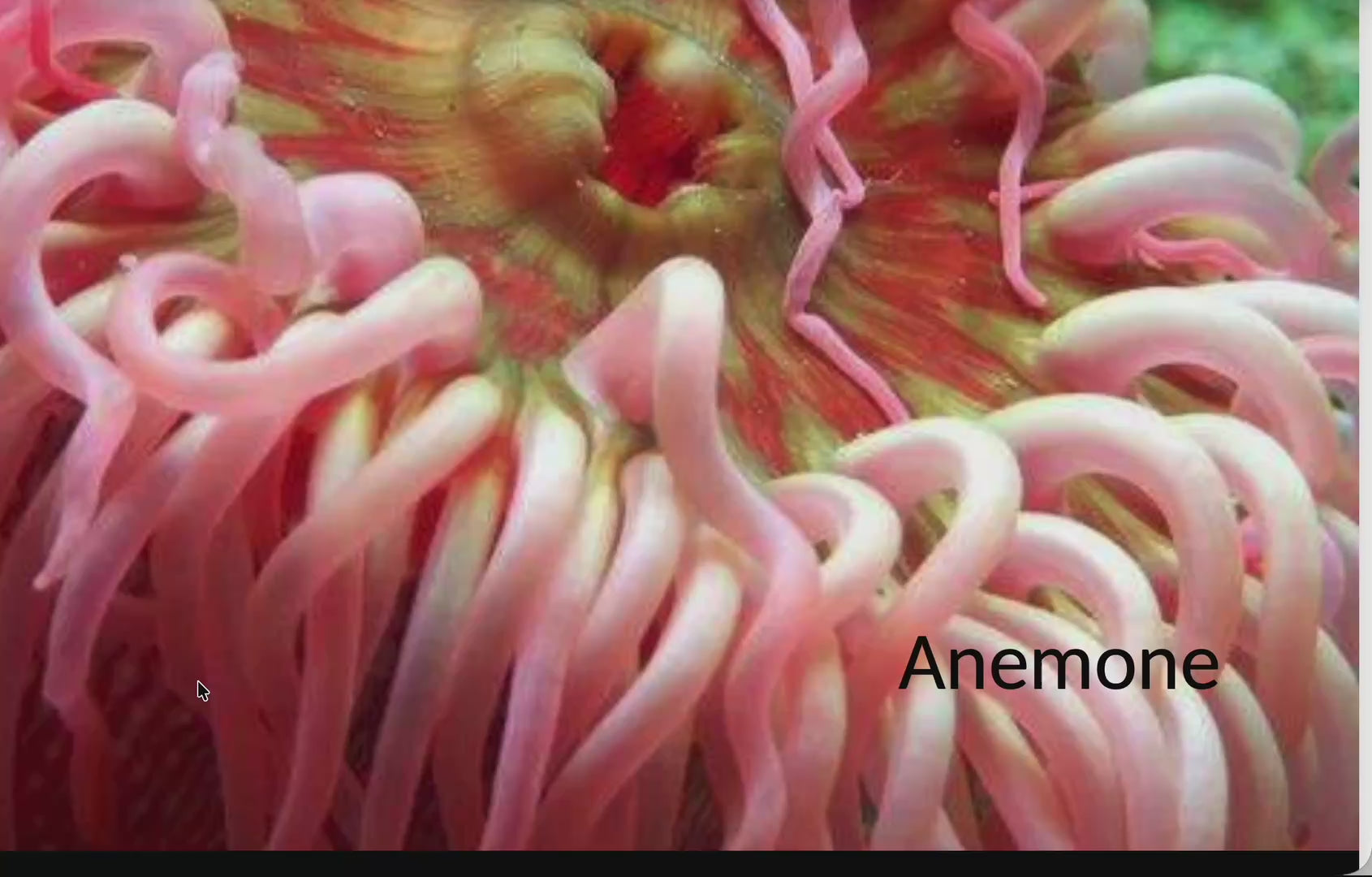 Personalised ABC book